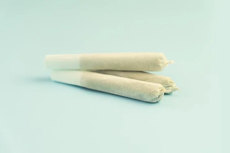 Three pre-rolled cannabis joints on a light blue background.
