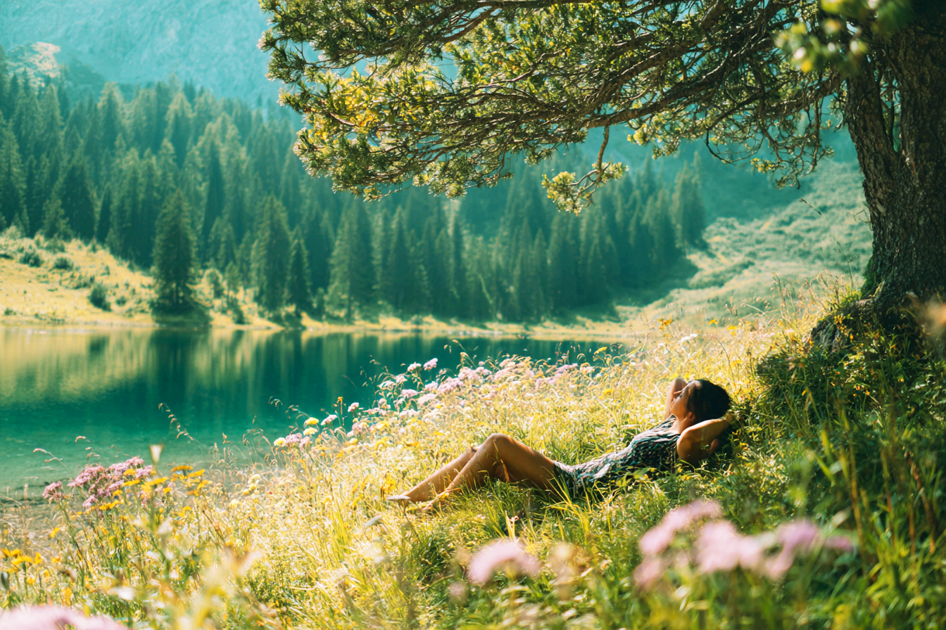 Woman lying in a wildflower meadow under a tree, beside a mountain lake with pine forest in the background.