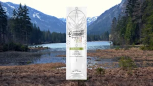 Cannabis vape cartridge packaging labeled "Alien OG" by Native Nations Cannabis set against a serene mountain lake backdrop.